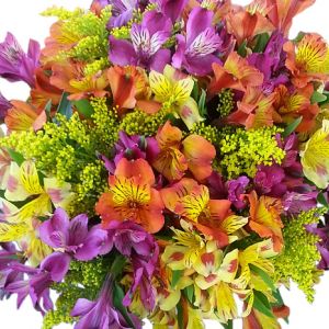 Designer Choice Arrangement