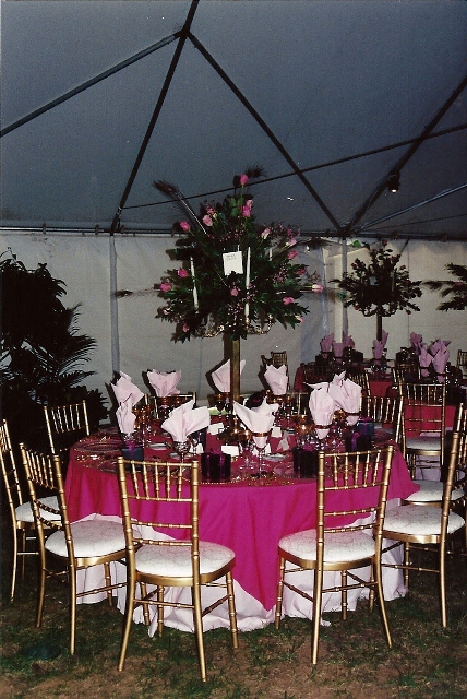 scan0044_428x640.jpg