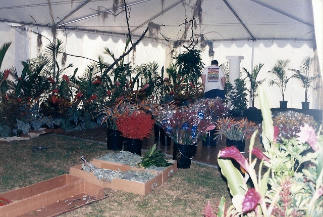 scan0024_640x429.jpg