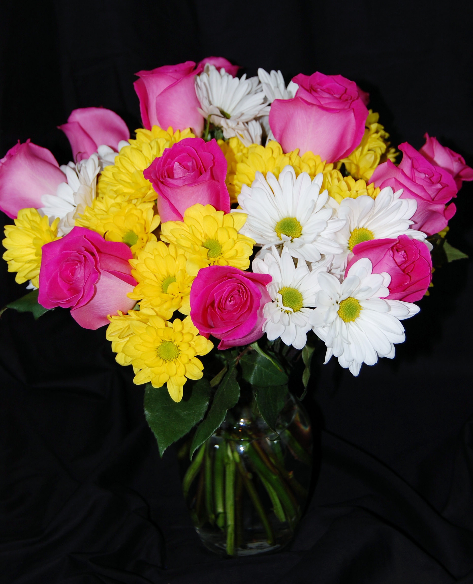 Daisies and Roses The Flower Shop