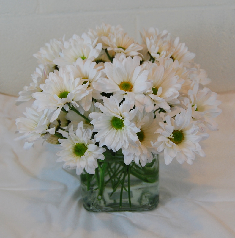 Square Daisies The Flower Shop