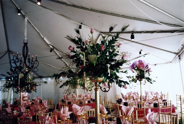 scan0027_640x433.jpg