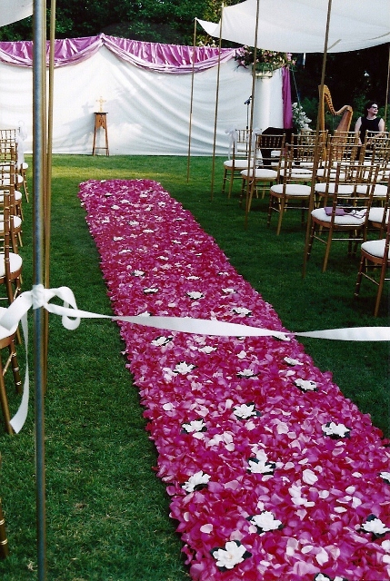 scan0029_429x640.jpg