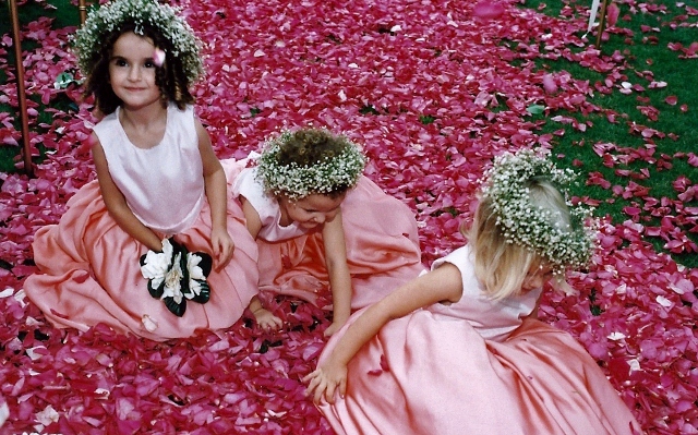 scan0037_640x399.jpg