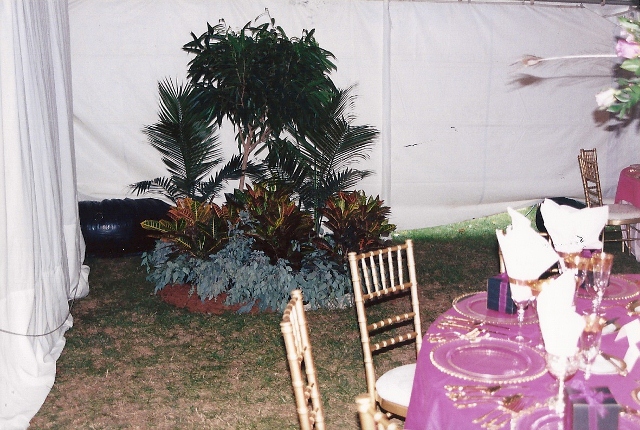 scan0021_640x430.jpg