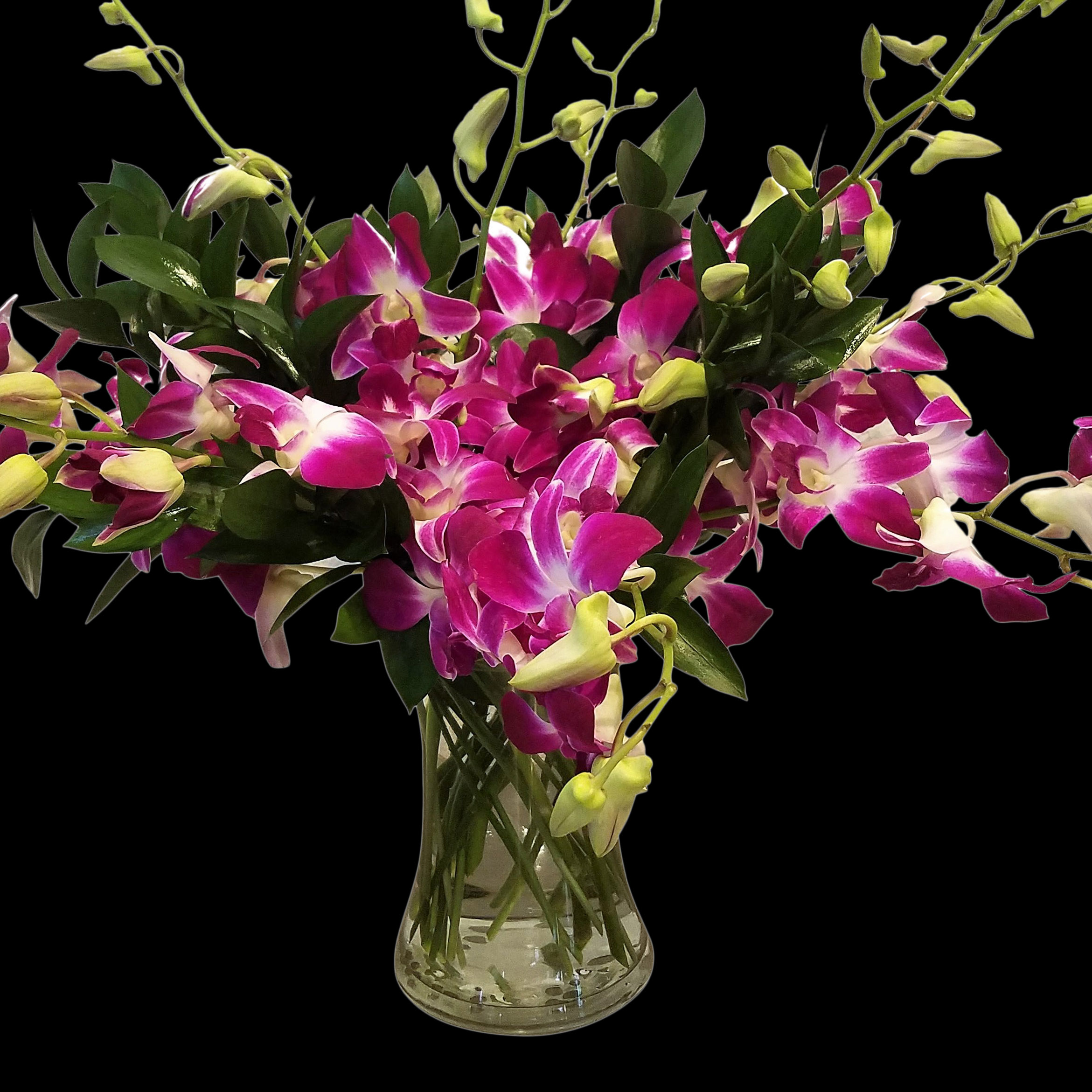 Dendrobium Orchids in Vase The Flower Shop