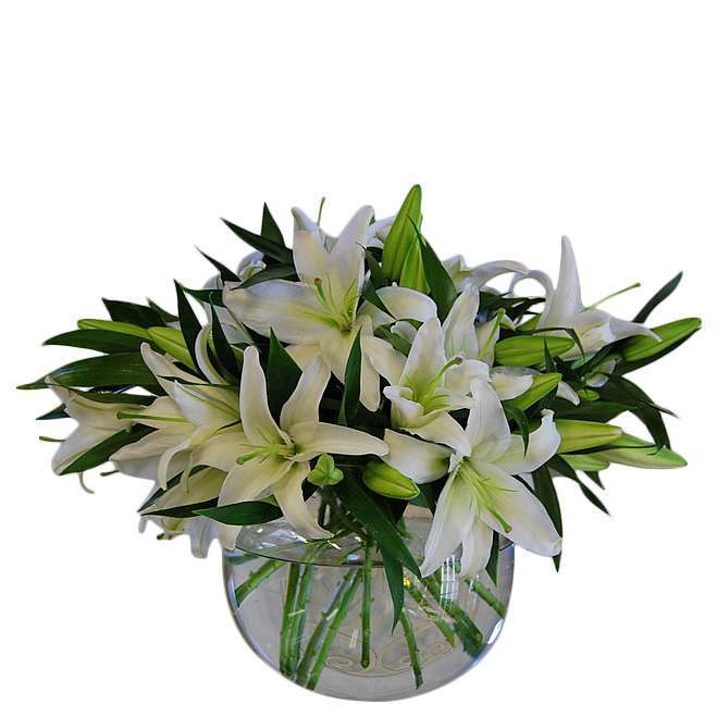 Pure White Lilies The Flower Shop