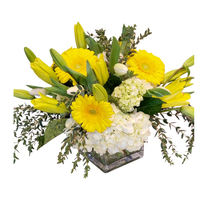 Sun Rays The Flower Shop